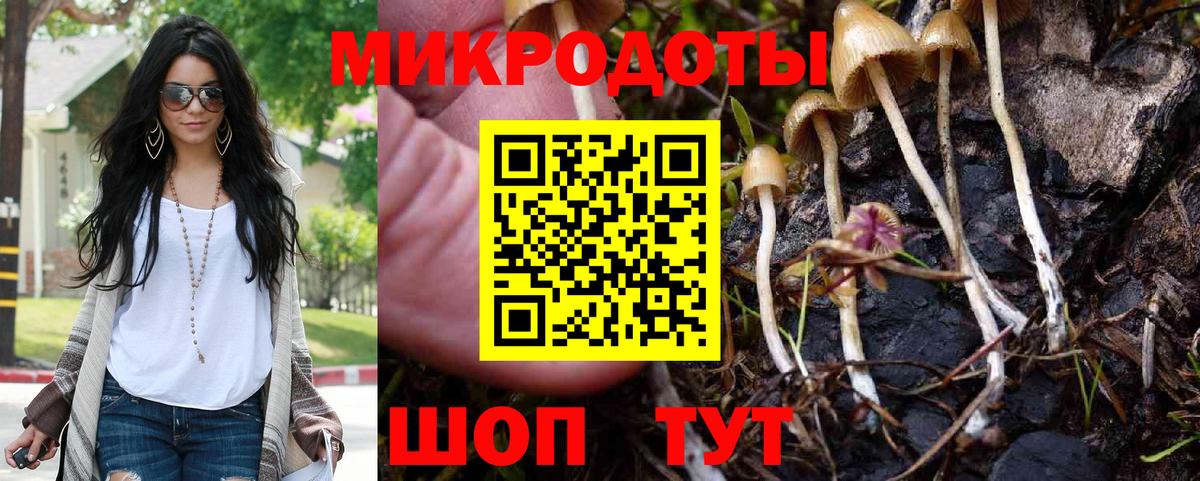 Миасс  Псилоцибиновые грибы MAGIC MUSHROOMS  Вход с VPN 